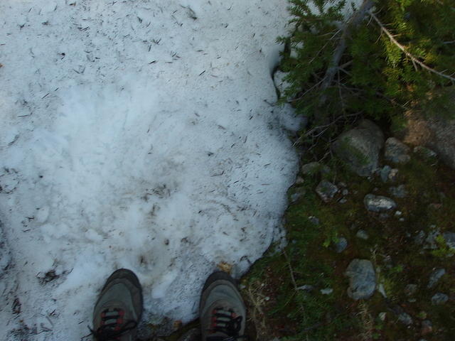 finally, snow (megan, hurry up and take the picture!)