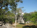 Tikal